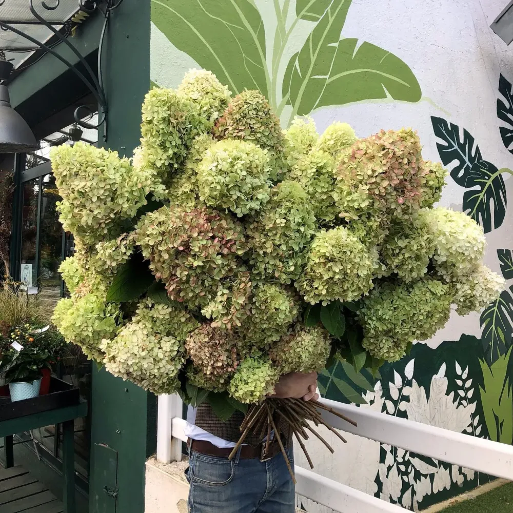 Fleuriste près de Saint-Étienne-de-Montluc